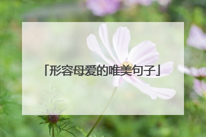 形容母爱的唯美句子