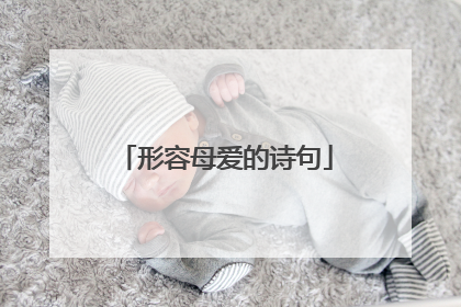 形容母爱的诗句