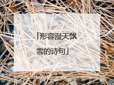 形容漫天飘雪的诗句