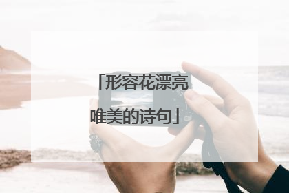 形容花漂亮唯美的诗句