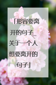 形容要离开的句子_关于一个人想要离开的句子