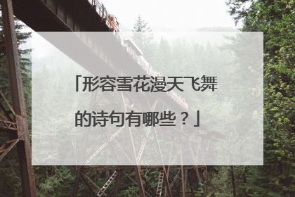 形容雪花漫天飞舞的诗句有哪些?