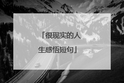 很现实的人生感悟短句