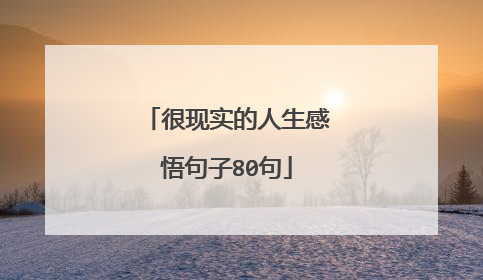 很现实的人生感悟句子80句