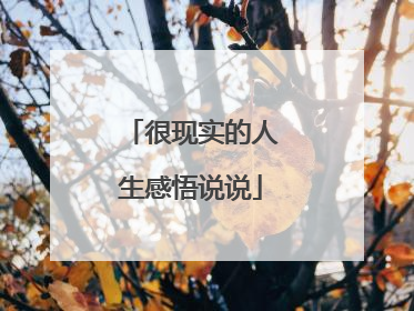 很现实的人生感悟说说