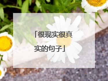 很现实很真实的句子