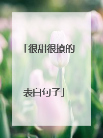 很甜很撩的表白句子