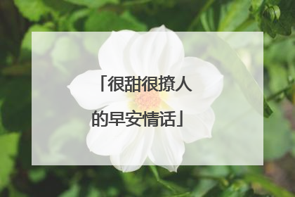 很甜很撩人的早安情话