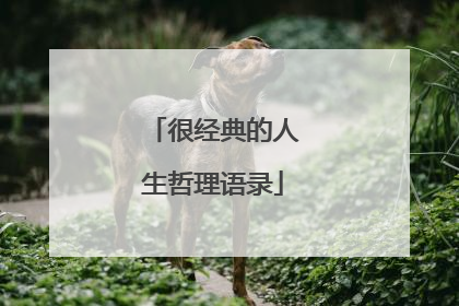 很经典的人生哲理语录