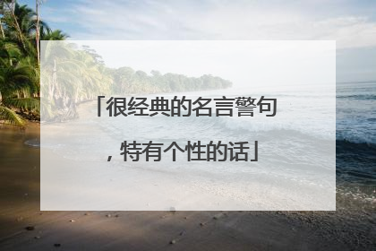 很经典的名言警句，特有个性的话