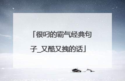 很叼的霸气经典句子_又酷又拽的话