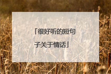 很好听的短句子关于情话