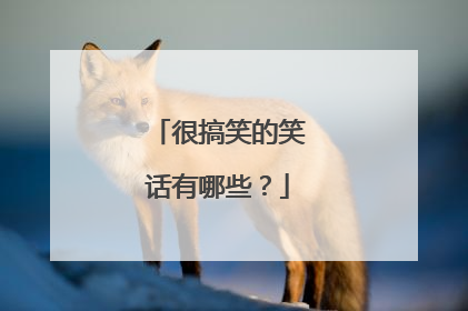 很搞笑的笑话有哪些?