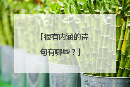 很有内涵的诗句有哪些?