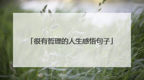 很有哲理的人生感悟句子
