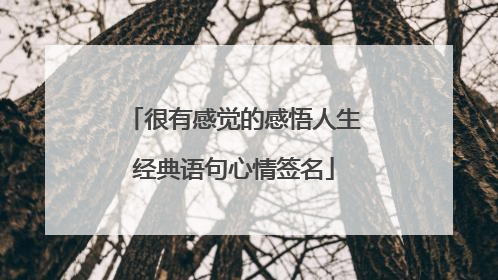很有感觉的感悟人生经典语句心情签名