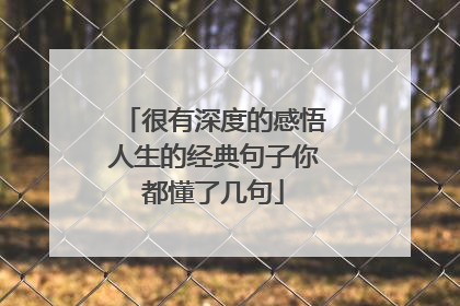 很有深度的感悟人生的经典句子你都懂了几句