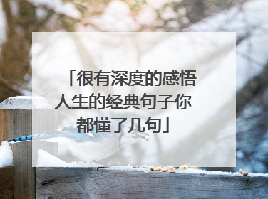 很有深度的感悟人生的经典句子你都懂了几句