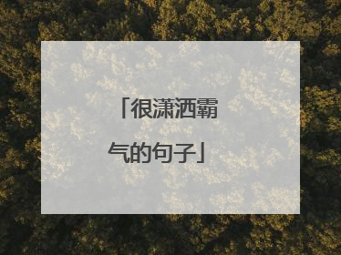 很潇洒霸气的句子