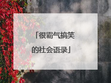 很霸气搞笑的社会语录