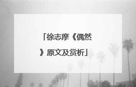 徐志摩《偶然》原文及赏析
