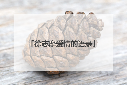 徐志摩爱情的语录