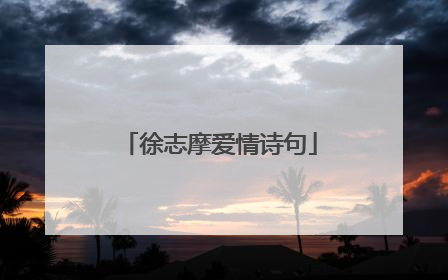 徐志摩爱情诗句