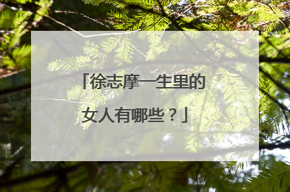 徐志摩一生里的女人有哪些?