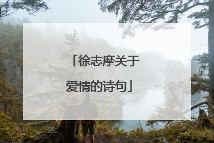 徐志摩关于爱情的诗句