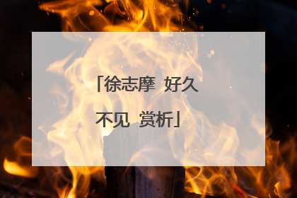 徐志摩 好久不见 赏析