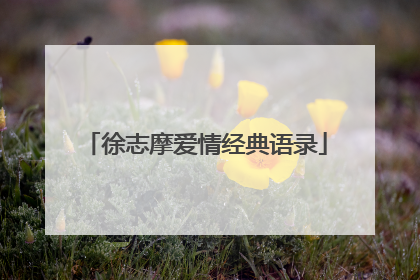 徐志摩爱情经典语录