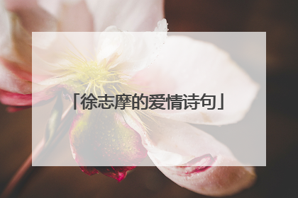 徐志摩的爱情诗句