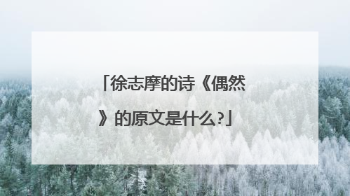 徐志摩的诗《偶然》的原文是什么?