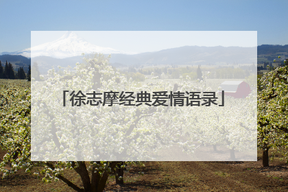徐志摩经典爱情语录