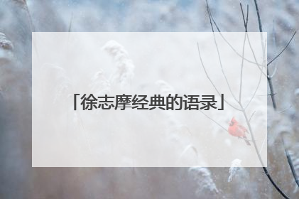 徐志摩经典的语录