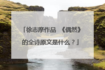 徐志摩作品 《偶然》 的全诗原文是什么?