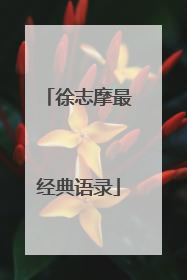 徐志摩最经典语录