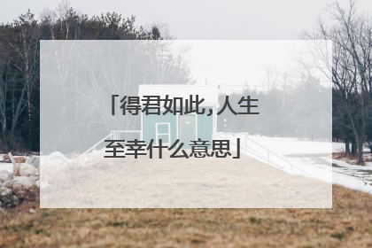得君如此,人生至幸什么意思