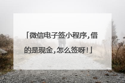微信电子签小程序,借的是现金,怎么签呀!