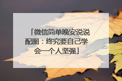 微信简单晚安说说配图:终究要自己学会一个人坚强