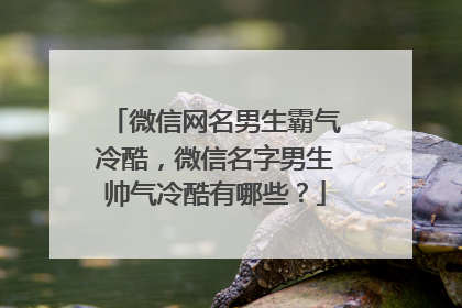 微信网名男生霸气冷酷,微信名字男生帅气冷酷有哪些?