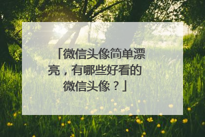 微信头像简单漂亮,有哪些好看的微信头像?