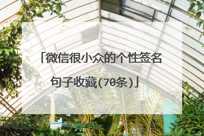 微信很小众的个性签名句子收藏(70条)