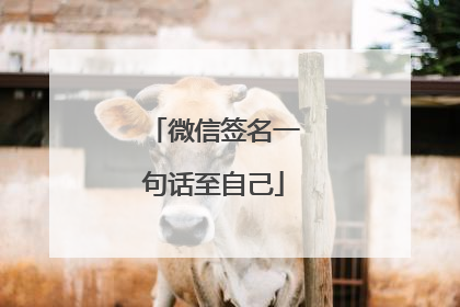 微信签名一句话至自己