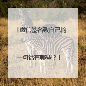 微信签名致自己的一句话有哪些?