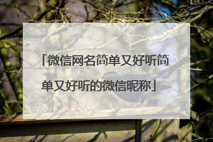微信网名简单又好听简单又好听的微信昵称