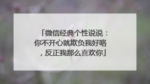 微信经典个性说说:你不开心就欺负我好咯,反正我那么喜欢你