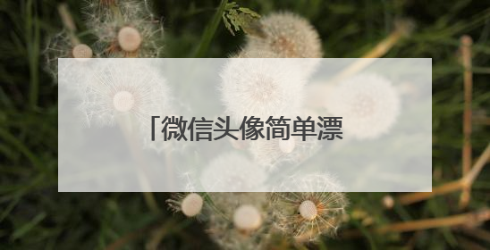 微信头像简单漂亮,有哪些好看的微信头像?