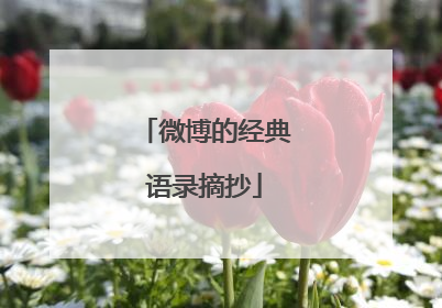 微博的经典语录摘抄