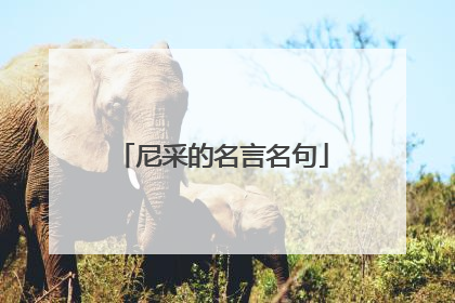 尼采的名言名句